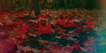 blog_outono_inverno_capa
