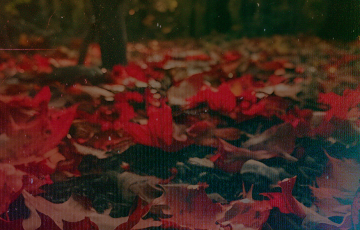 blog_outono_inverno_capa