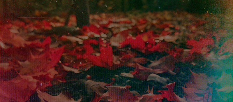 blog_outono_inverno_capa